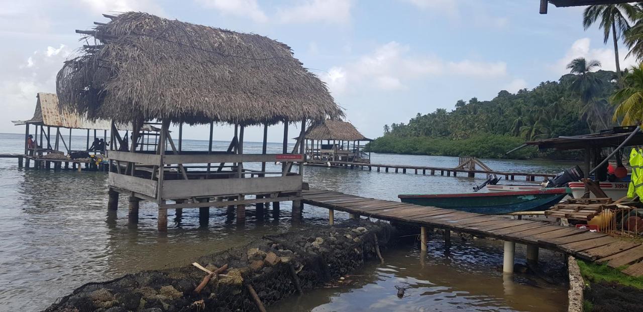 Rainforest Lodge Del Rio Портобело Екстериор снимка