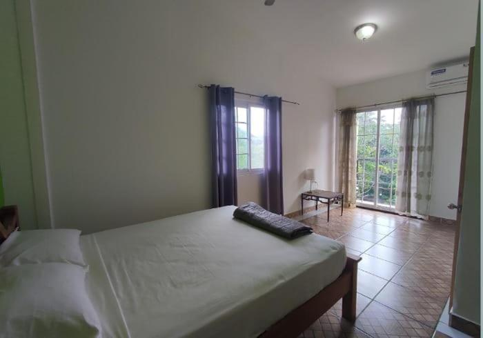 Rainforest Lodge Del Rio Портобело Екстериор снимка