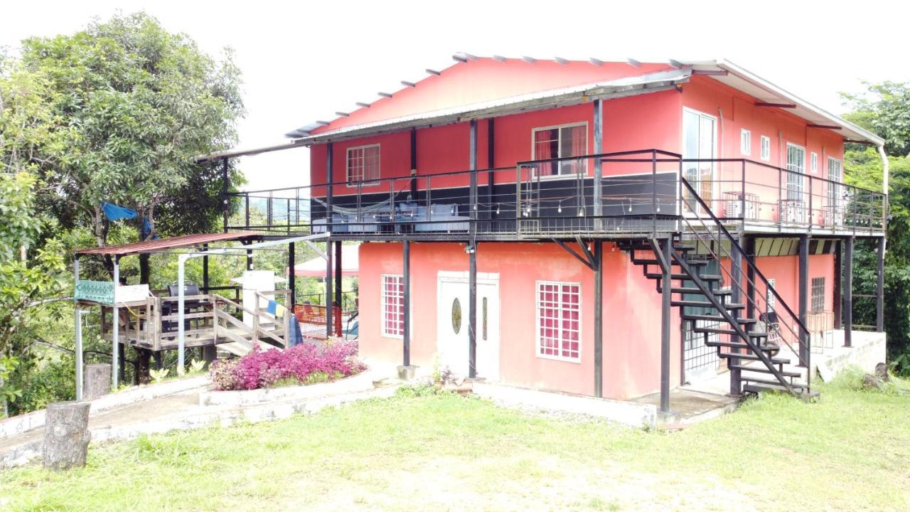 Rainforest Lodge Del Rio Портобело Екстериор снимка