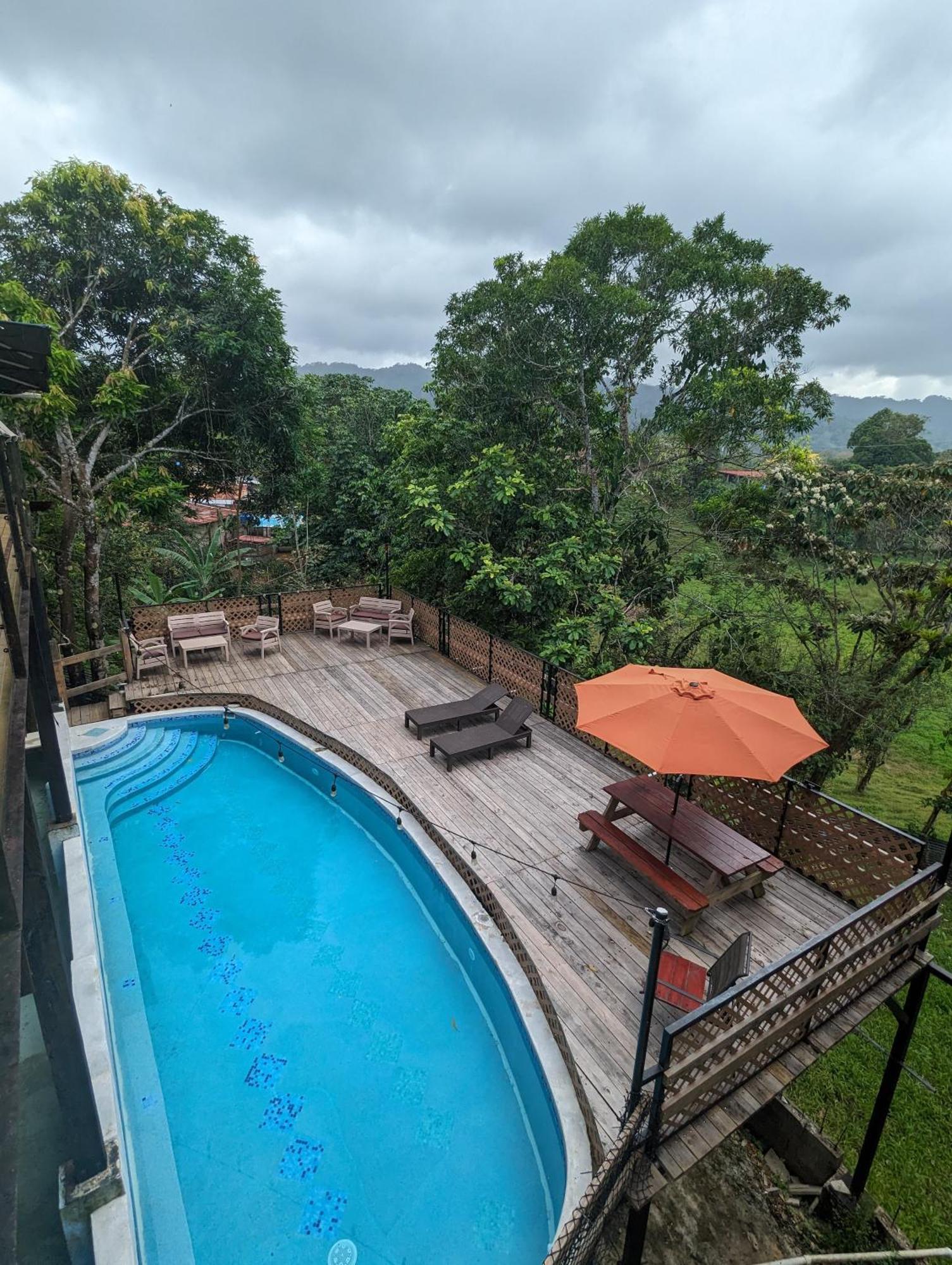 Rainforest Lodge Del Rio Портобело Екстериор снимка