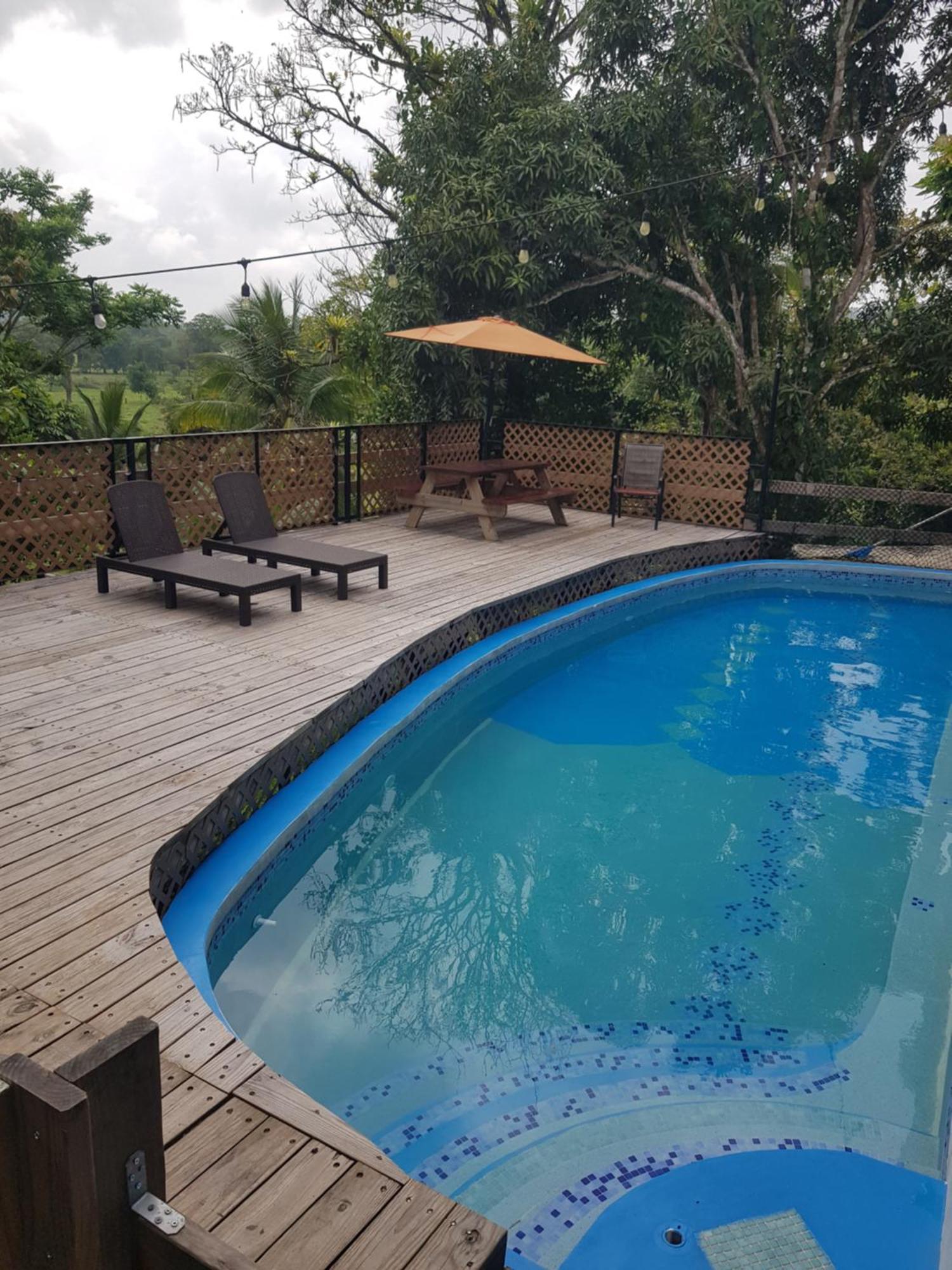 Rainforest Lodge Del Rio Портобело Екстериор снимка