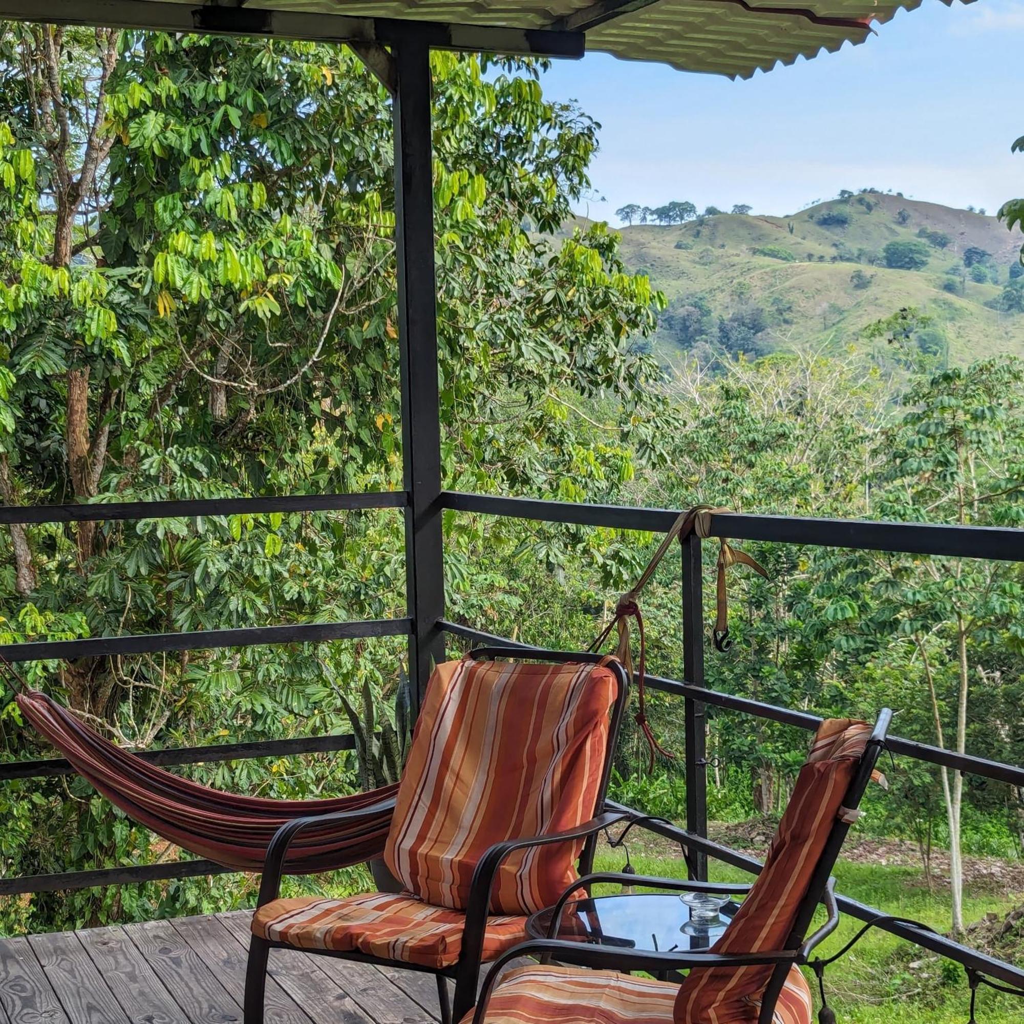 Rainforest Lodge Del Rio Портобело Екстериор снимка